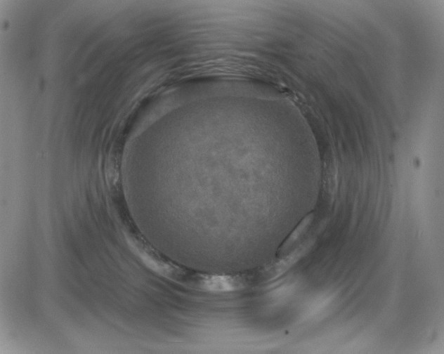 X0000084520091200702231146