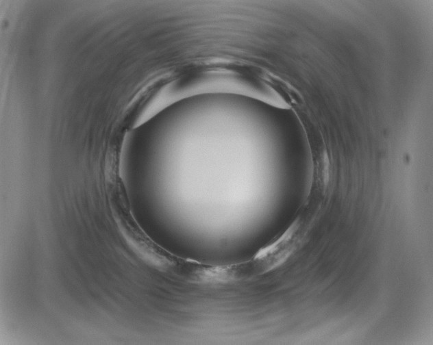 X0000084520092200702231146