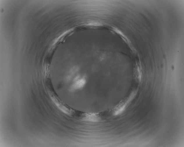 X0000084520093200702231146