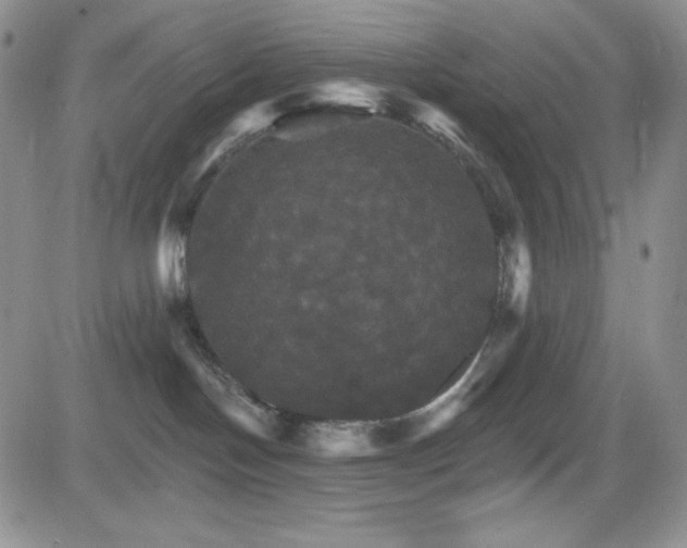 X0000084520094200702231146