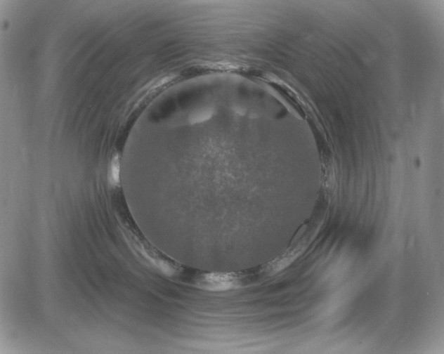 X0000084520095200702231146