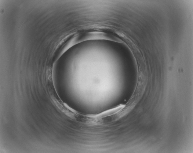 X0000084520096200702231146