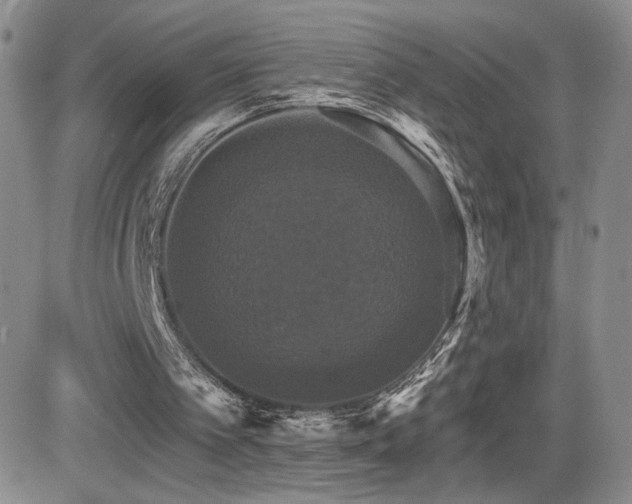 X0000084520097200702231145