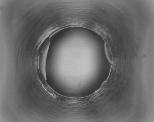 X0000084520098200702231145