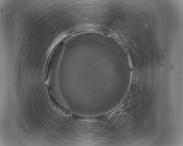 X0000084520099200702231145