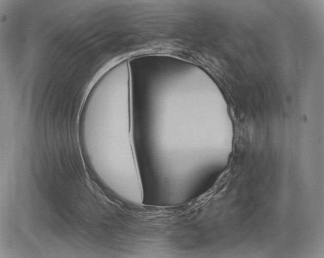 X0000084520100200702231145