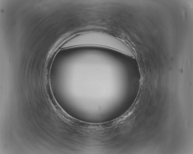 X0000084520101200702231145