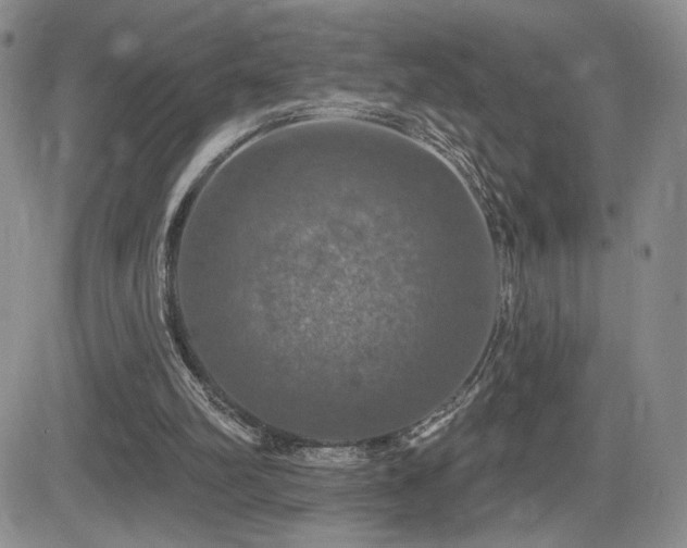 X0000084520102200702231145