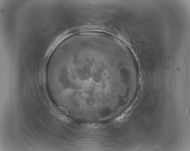 X0000084520103200702231145