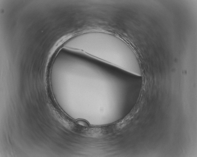 X0000084520104200702231145