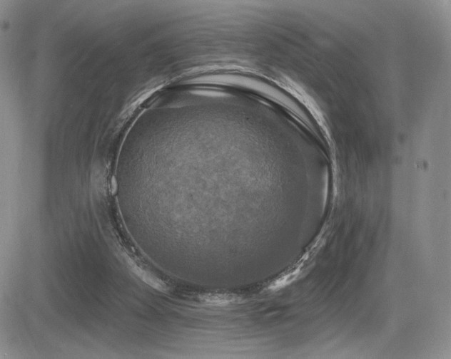 X0000084520105200702231145