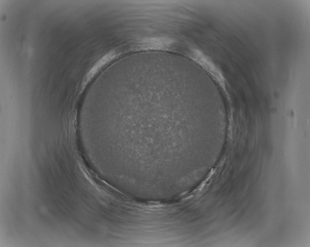 X0000084520107200702231145