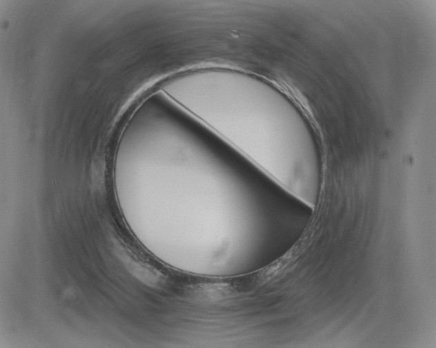 X0000084520108200702231145