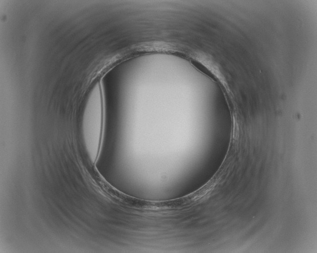 X0000084520109200702231145