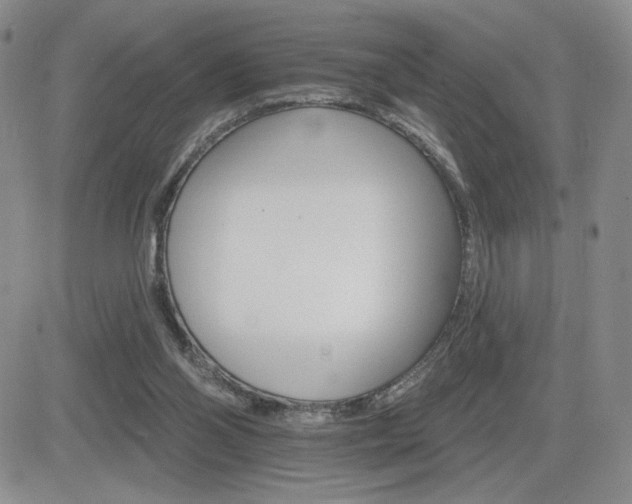 X0000084520110200702231145