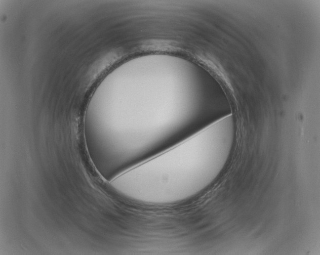 X0000084520111200702231145