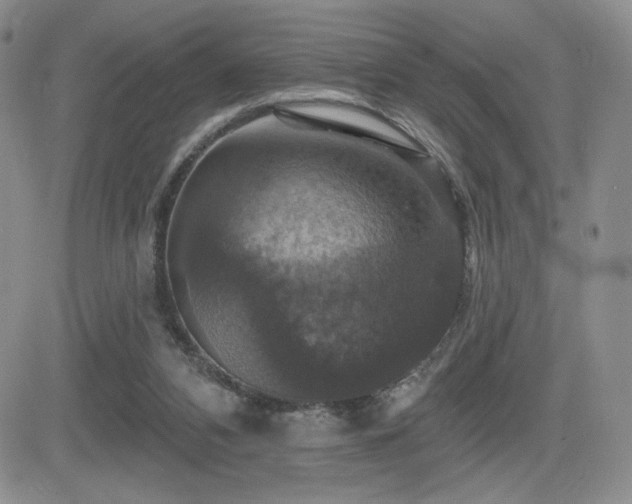 X0000084520112200702231145