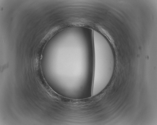 X0000084520113200702231145