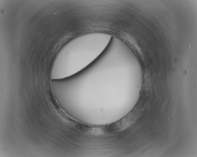 X0000084520114200702231145