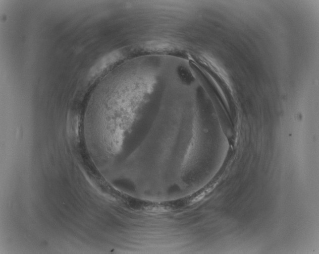 X0000084520115200702231145