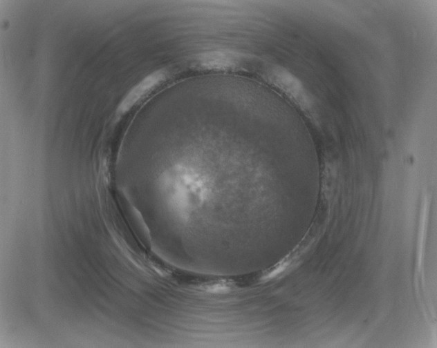 X0000084520116200702231145