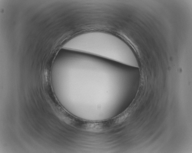 X0000084520117200702231145