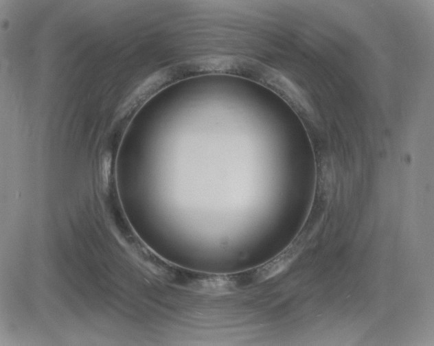 X0000084520118200702231145