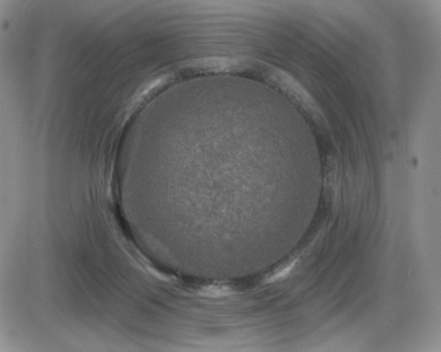 X0000084520119200702231144