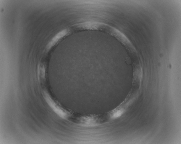 X0000084520120200702231144