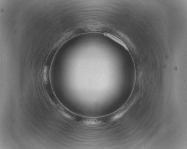 X0000084520121200702231144