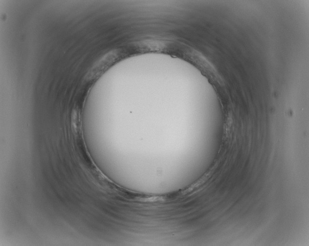 X0000084520122200702231144