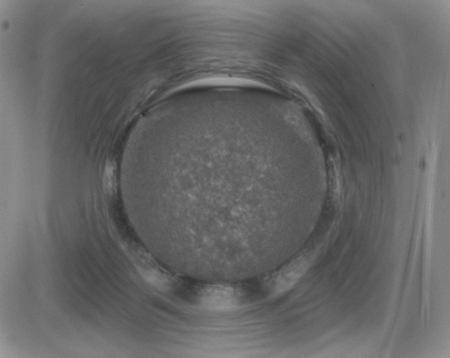 X0000084520123200702231144