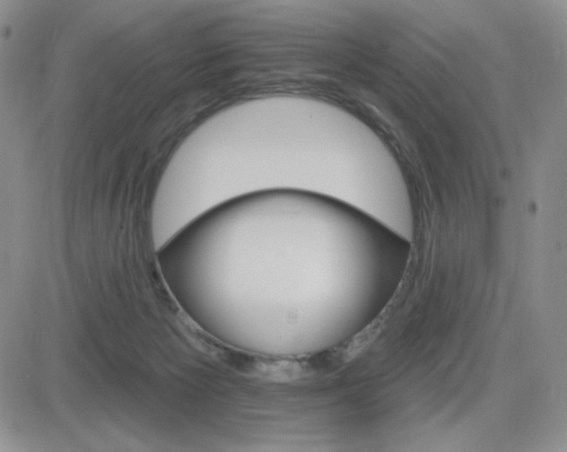 X0000084520125200702231144