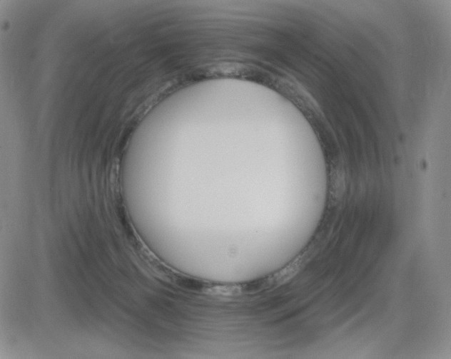 X0000084520126200702231144