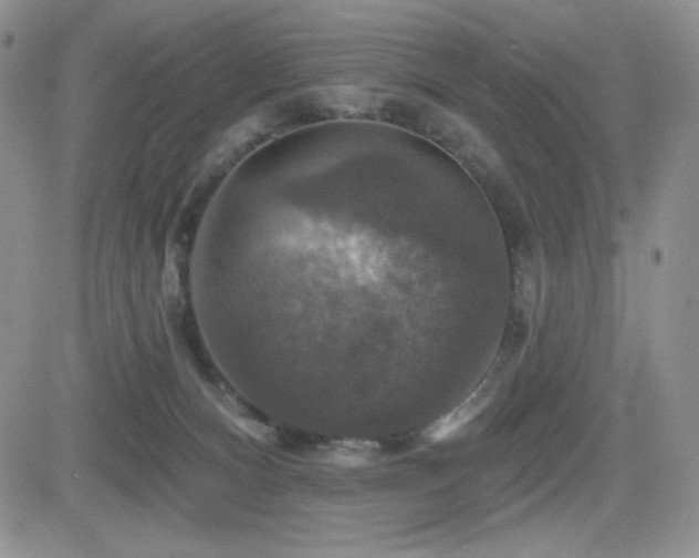 X0000084520128200702231144