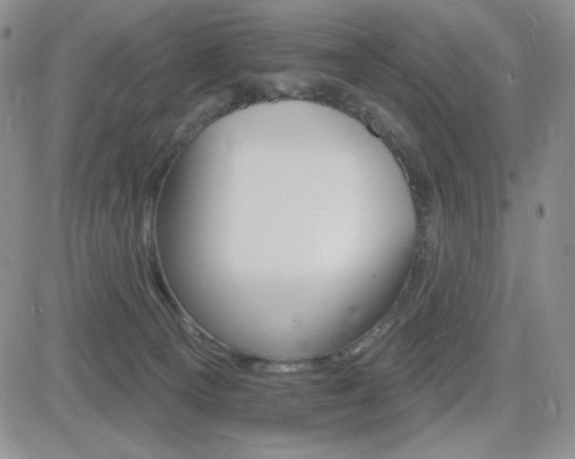 X0000084520129200702231144