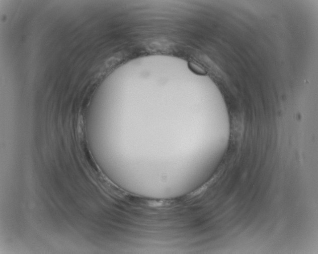 X0000084520130200702231144