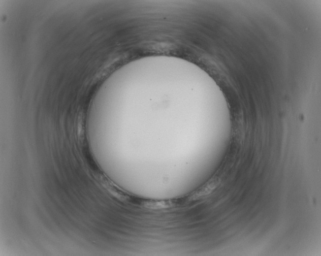 X0000084520131200702231144