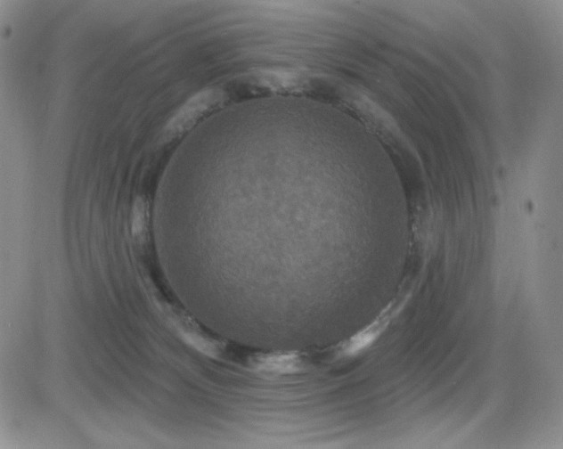 X0000084520132200702231144