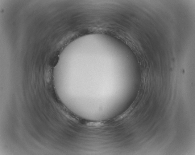 X0000084520133200702231144