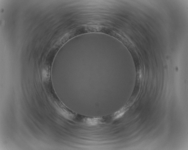 X0000084520134200702231144