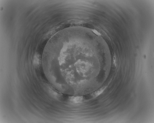 X0000084520135200702231144