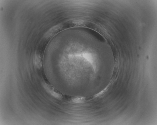 X0000084520136200702231144