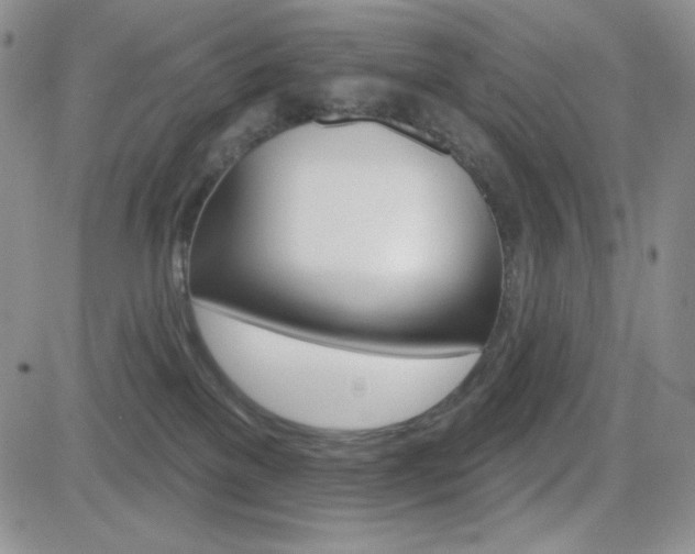 X0000084520137200702231144