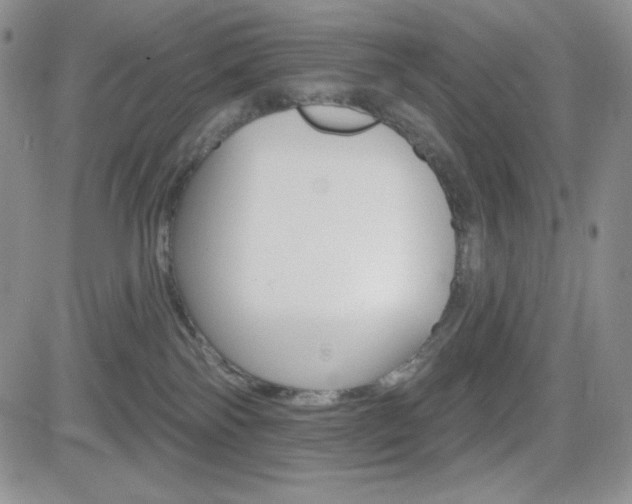 X0000084520138200702231144