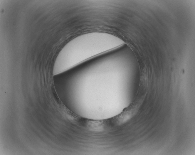 X0000084520139200702231144