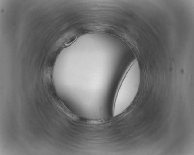 X0000084520141200702231144