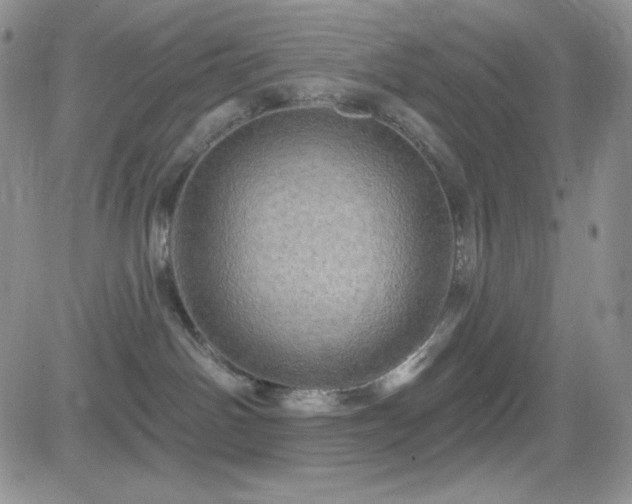 X0000084520142200702231144