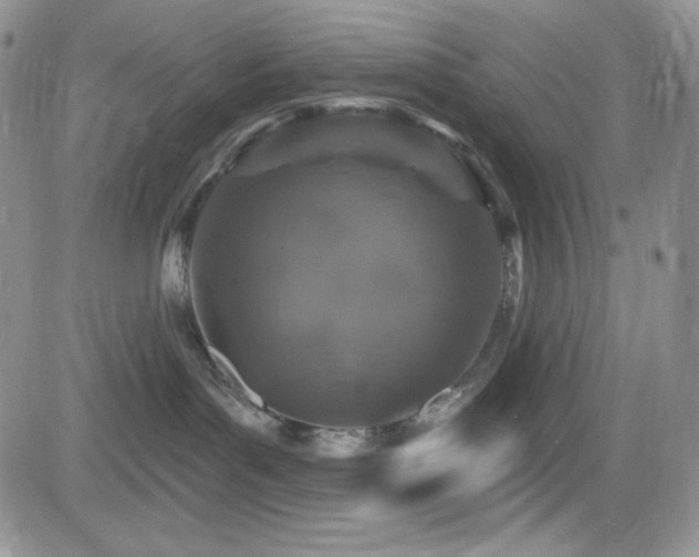 X0000084520143200702231144