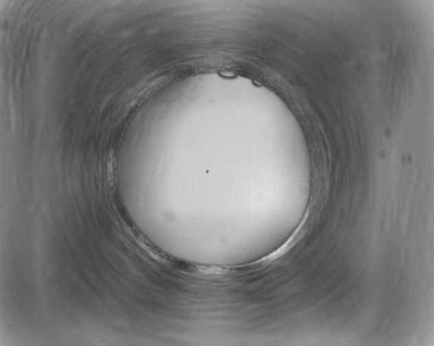 X0000084520144200702231144